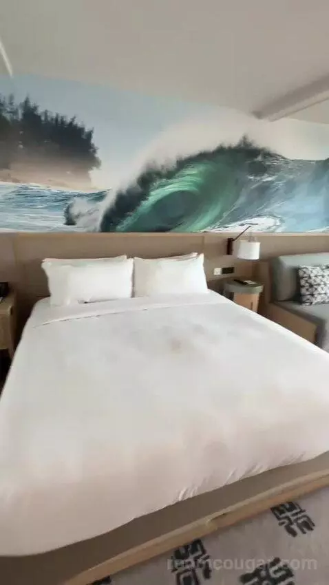 ADA Ocean View Lanai, Guest Room, 1 King, Sofa Bed (#532) bed picture #5