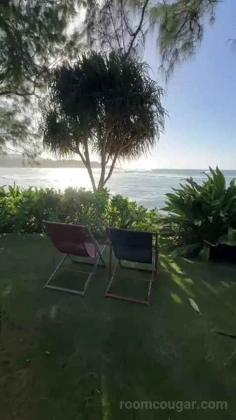 Ocean Front Bungalow, 1 King, Sofa Bed, Ocean Facing View, Ground Floor, Patio (#100) view picture #1