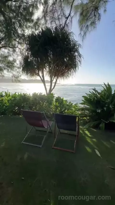Ocean Front Bungalow, 1 King, Sofa Bed, Ocean Facing View, Ground Floor, Patio (#100) view picture #2