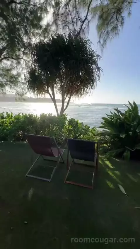 Ocean Front Bungalow, 1 King, Sofa Bed, Ocean Facing View, Ground Floor, Patio (#100) view picture #3