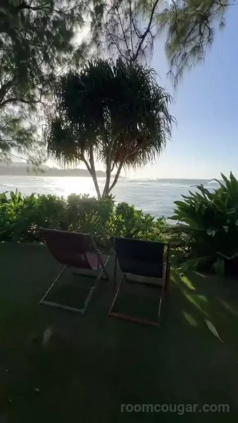 Ocean Front Bungalow, 1 King, Sofa Bed, Ocean Facing View, Ground Floor, Patio (#100) view picture #4