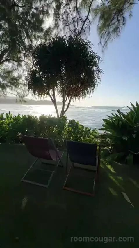 Ocean Front Bungalow, 1 King, Sofa Bed, Ocean Facing View, Ground Floor, Patio (#100) view picture #5
