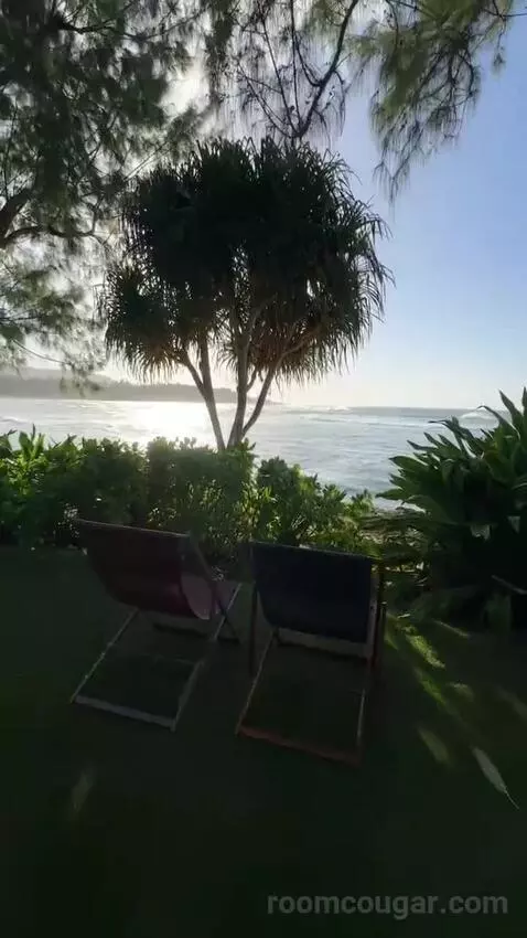 Ocean Front Bungalow, 1 King, Sofa Bed, Ocean Facing View, Ground Floor, Patio (#100) view picture #6