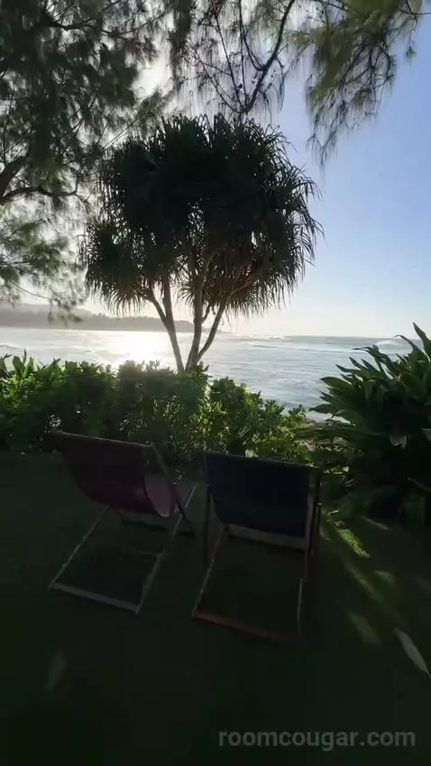 Ocean Front Bungalow, 1 King, Sofa Bed, Ocean Facing View, Ground Floor, Patio (#100) view picture #7