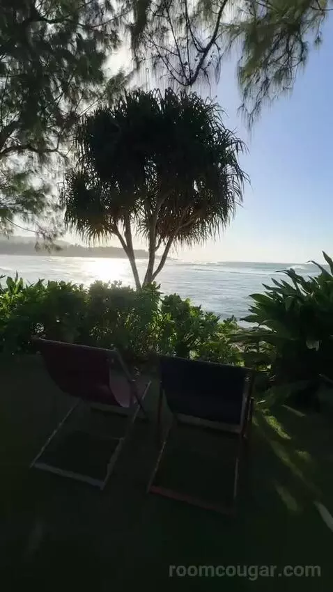Ocean Front Bungalow, 1 King, Sofa Bed, Ocean Facing View, Ground Floor, Patio (#100) view picture #8