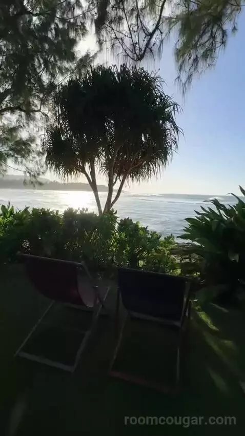Ocean Front Bungalow, 1 King, Sofa Bed, Ocean Facing View, Ground Floor, Patio (#100) view picture #9