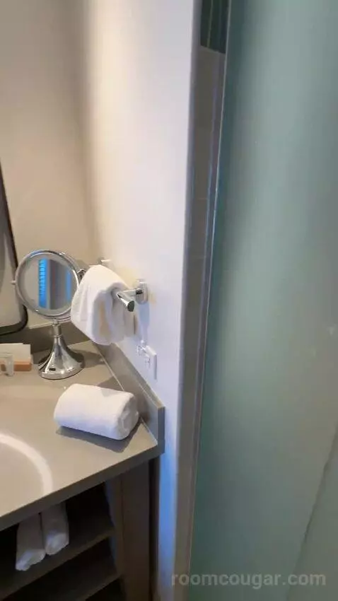 Premium Ocean Front, Guest Room, 1 King, Ocean Facing View, Top Floor, Balcony (#611) bathroom picture #8