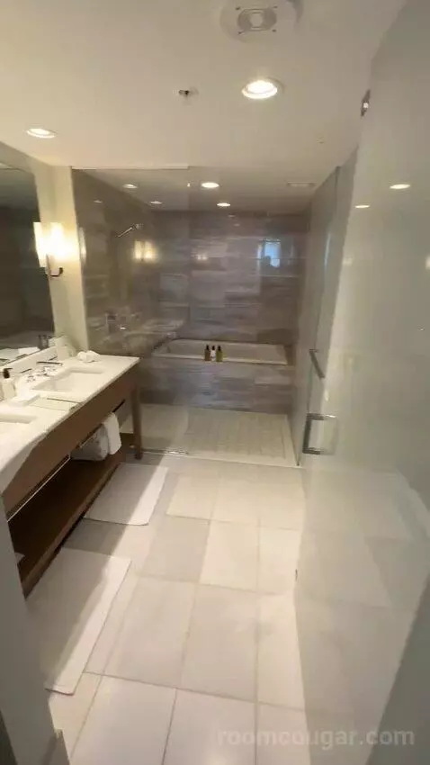 Grand One Bedroom Suite with Ocean View (D2105) bathroom picture #4
