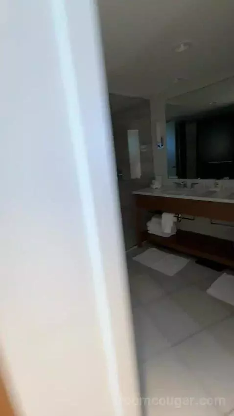 Deluxe Ocean View Suite, 1 Bedroom Suite, 2 Double, Sofa Bed, Ocean View (D1906) bathroom picture #1