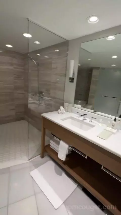 Deluxe Ocean View Suite, 1 Bedroom Suite, 2 Double, Sofa Bed, Ocean View (D1906) bathroom picture #6