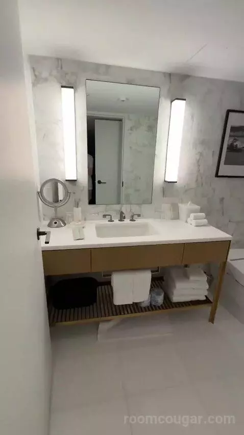 Penthouse (37th Floor) bathroom picture #10