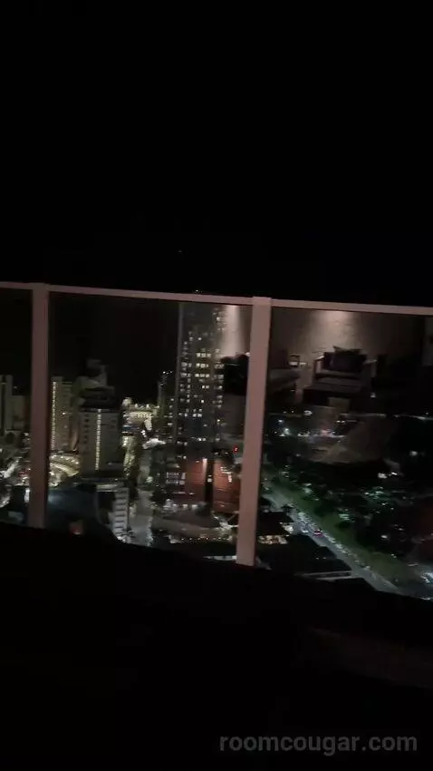 Penthouse (37th Floor) view picture #1