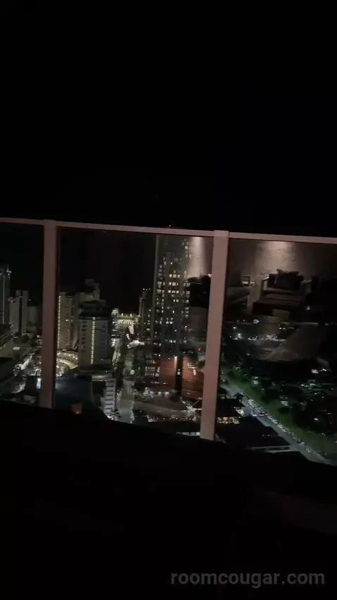 Penthouse (37th Floor) view picture #2
