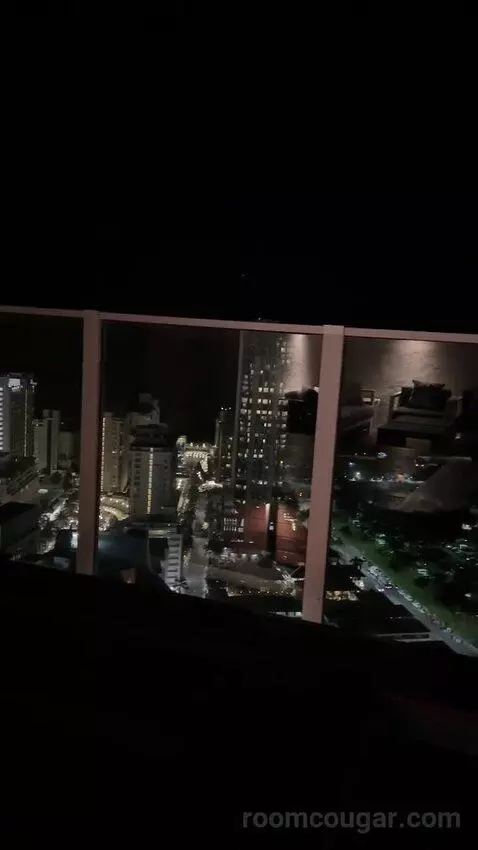Penthouse (37th Floor) view picture #3