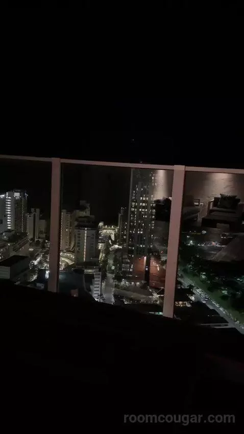 Penthouse (37th Floor) view picture #4