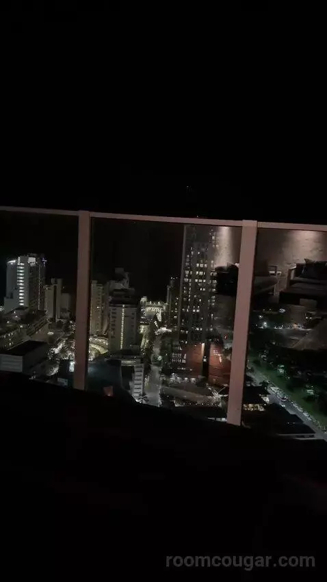 Penthouse (37th Floor) view picture #5