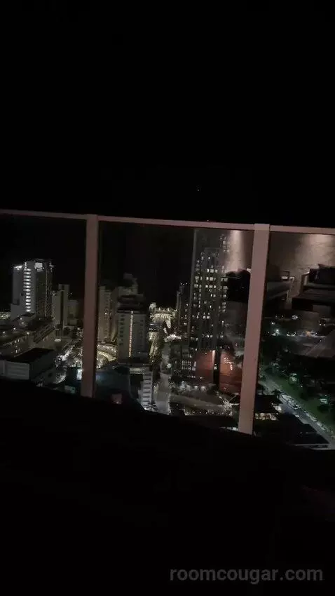 Penthouse (37th Floor) view picture #6