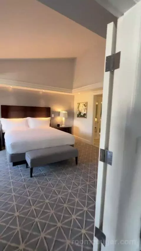 Executive Suite, 1 King with Sofa Bed, Garden View (#4017) bed picture #9