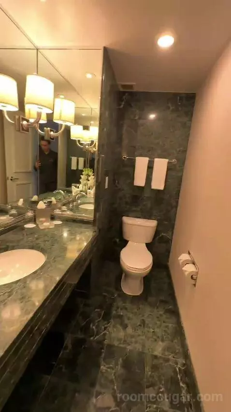 Executive Suite, 1 King with Sofa Bed, Garden View (#4017) picture #3