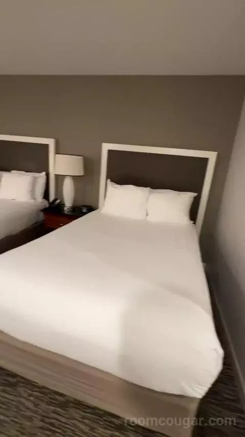 Double Room with Two Double Beds (#707) bed picture #1