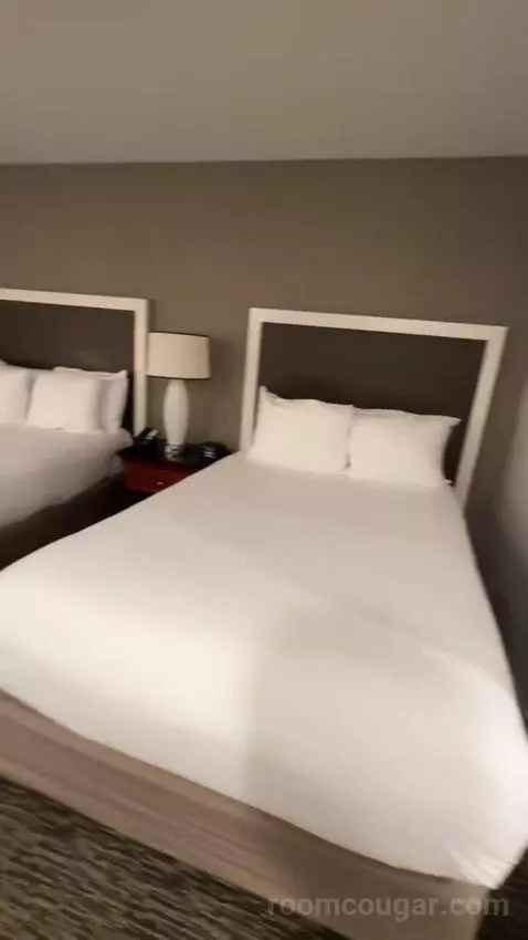 Double Room with Two Double Beds (#707) bed picture #2