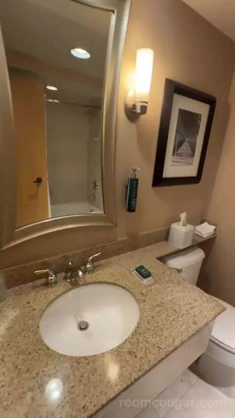 King Room (#668) bathroom picture #6