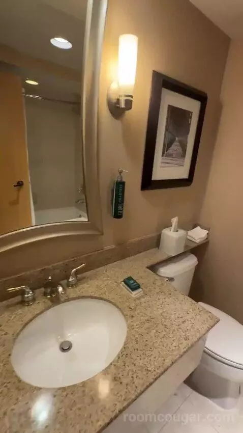 King Room (#668) bathroom picture #7