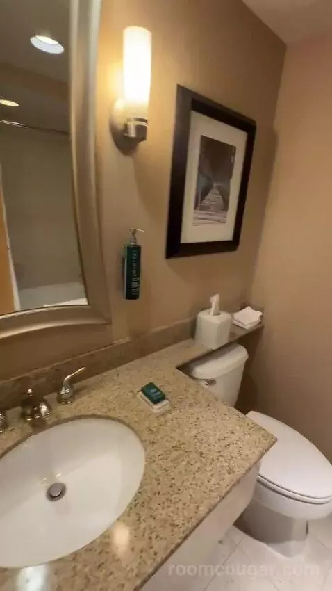 King Room (#668) bathroom picture #8