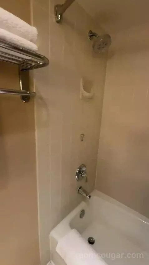 King Room (#668) bathroom picture #12