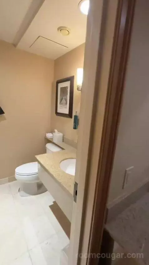 Double Room with Two Double Beds (#634) bathroom picture #3