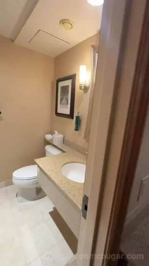 Double Room with Two Double Beds (#634) bathroom picture #4