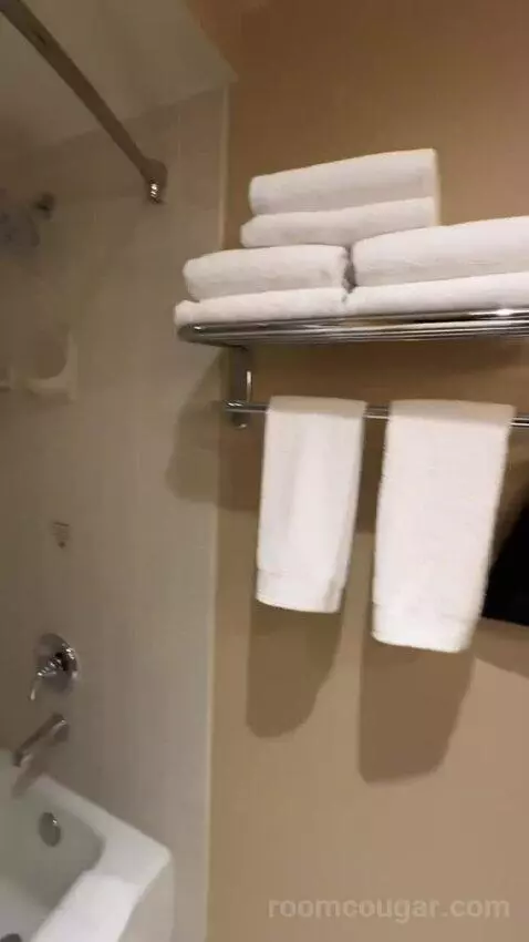 Double Room with Two Double Beds (#634) bathroom picture #5