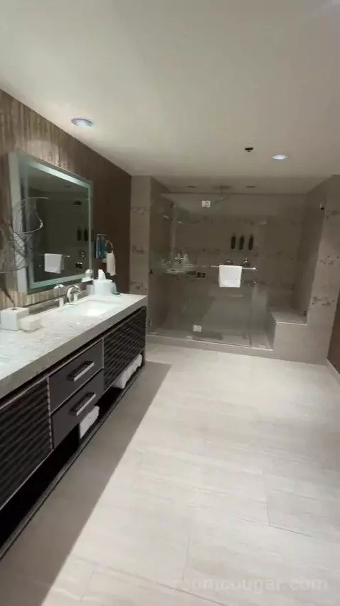 Presidential Suite bathroom picture #7