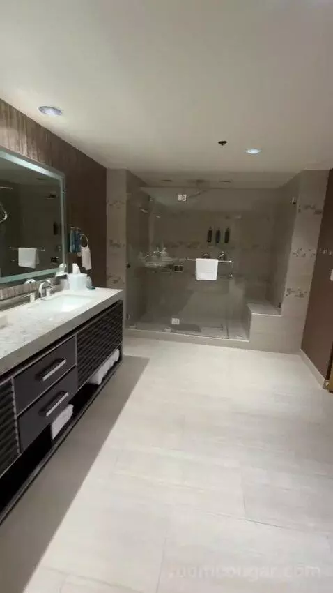 Presidential Suite bathroom picture #8