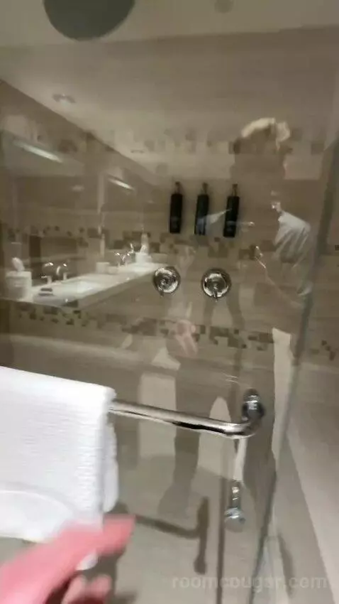 Presidential Suite bathroom picture #10