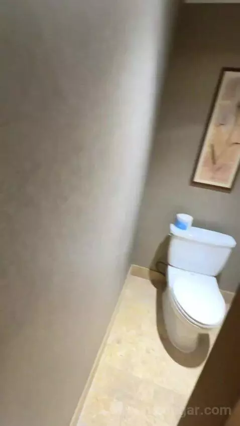 Presidential Suite bathroom picture #4