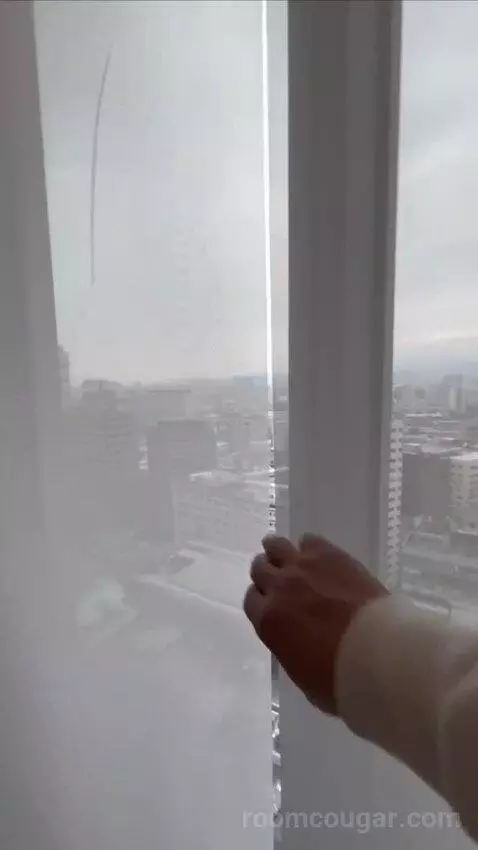 Fabulous Room, Guest Room, 1 King, City View (#1520) view picture #3