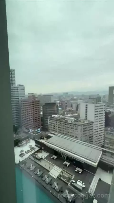 Fabulous Room, Guest Room, 1 King, City View (#1520) view picture #8