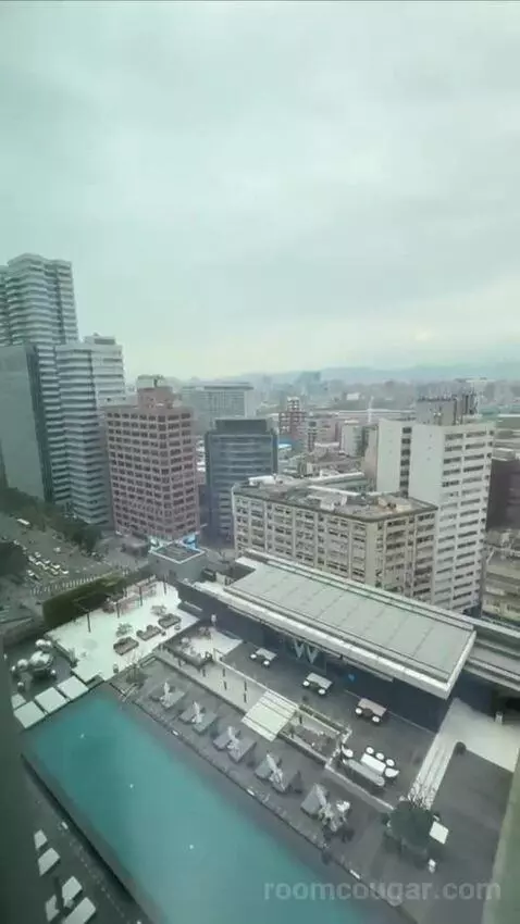 Fabulous Room, Guest Room, 1 King, City View (#1520) view picture #12
