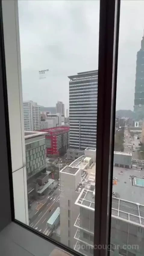Spectacular Room, Guest Room, 1 King, Taipei 101 View (#1519) view picture #10
