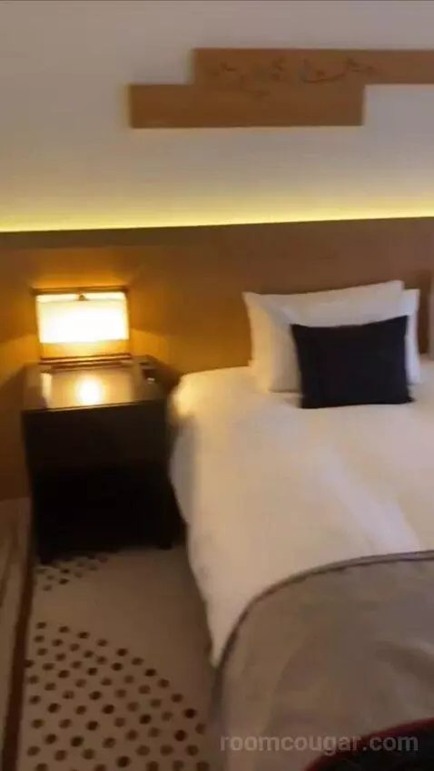 King Room bed picture #2