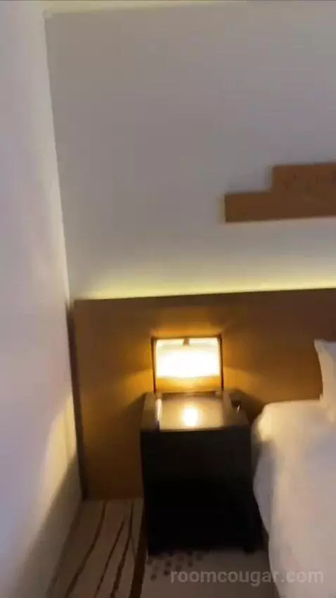 King Room bed picture #8