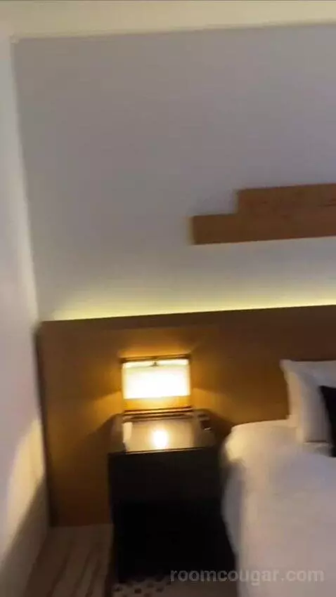 King Room bed picture #9