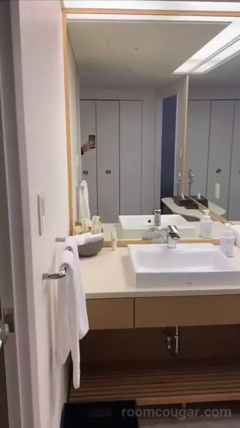King Room bathroom picture #4