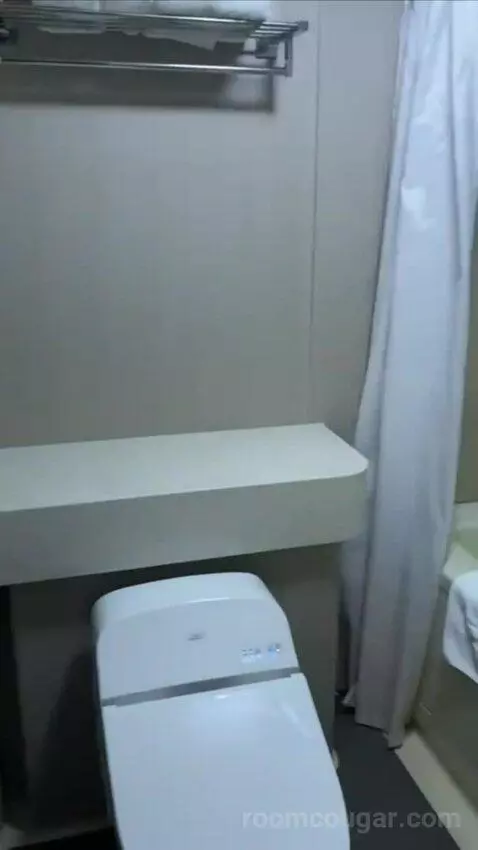 King Room bathroom picture #6