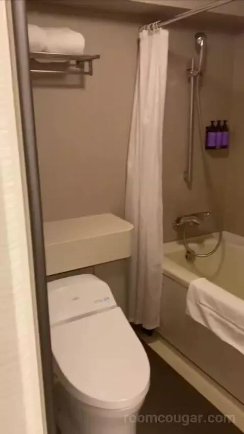 King Room bathroom picture #7