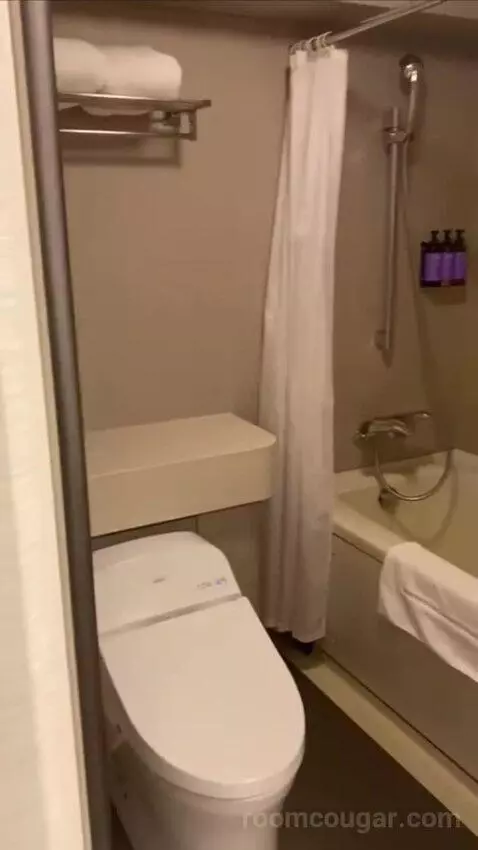 King Room bathroom picture #8