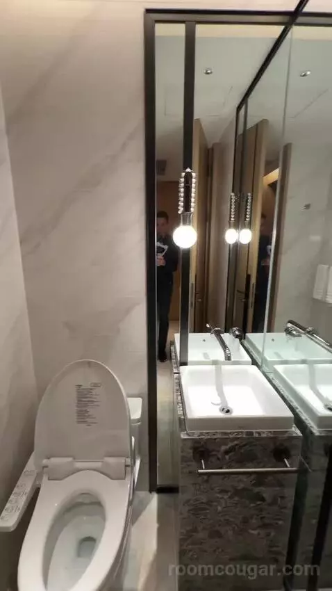 King Premium Bund View Suite (#6003) bathroom picture #1