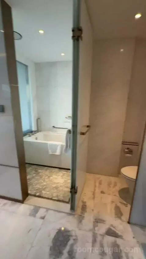 King Deluxe Room (#3702) bathroom picture #2