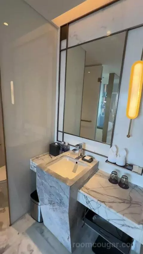 King Deluxe Room (#3702) bathroom picture #4